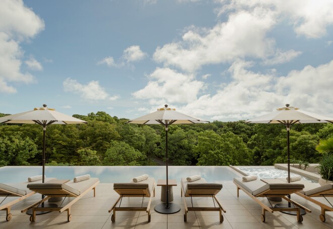 The rooftop pool of the Trunk(Hotel) Yoyogi Park in Tokyo features park views.