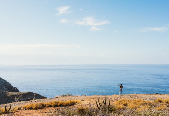 Punta Lobos