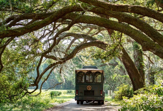 Charleston-Tea-Lede-ttomasek15-Shutterstock.jpg